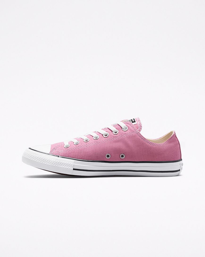 Tenisky Nizke Converse Chuck Taylor All Star Seasonal Color Damske Ruzove | SK CIFSE8